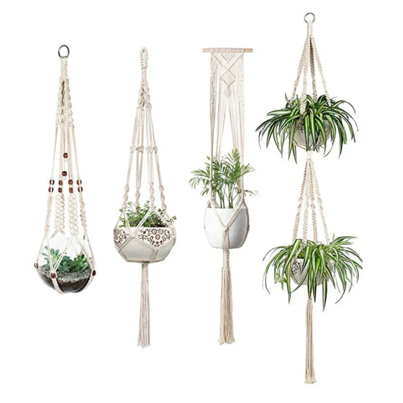 Low-Maintenance-Plants-That-Instantly-Beautify-Any-Home-Garden Reliable Heaven